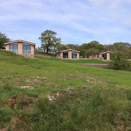 Hollybush